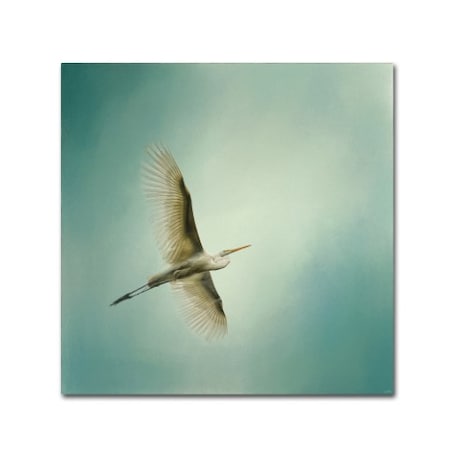 Jai Johnson 'Egret Overhead' Canvas Art,35x35